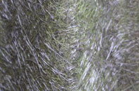 Oakenholt fibreglass roof work